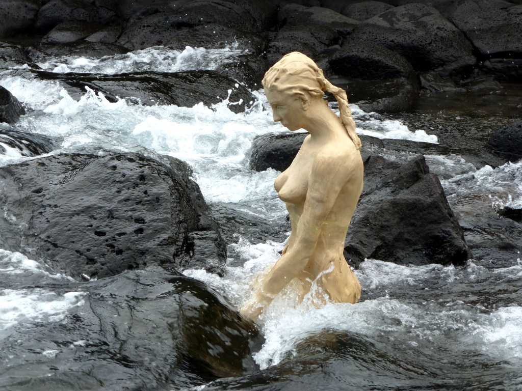 Déambulation insulaire,décembre 2011