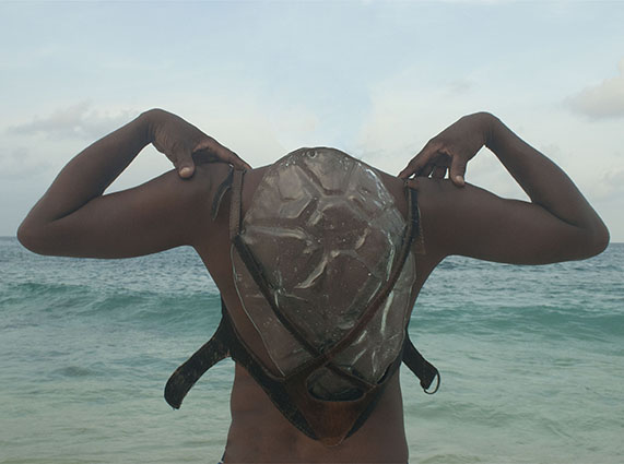 Regarde! La mer&nbsp;monte!